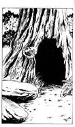 The home of a bear, viewed from the outside.
