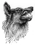A snarling, drooling wolf.