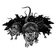 A swarm of aggressive rats.