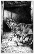 Two wolves lurking within a pen.