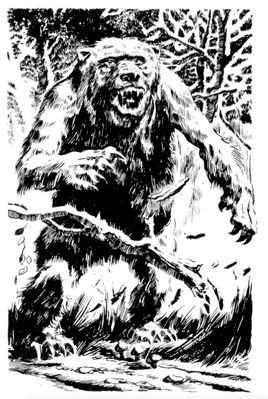 Bear
