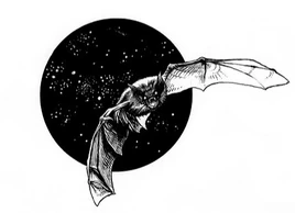 Bat