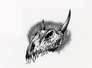 Dragonskull.png (93 KB) The skull of a dragon.