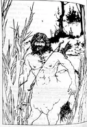 Centaur.jpg (237 KB) The centaur Harrek within Darkwood Forest.