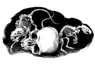 Two rat skeletons crawling about a skull.