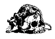 A rat clambering over a skull.