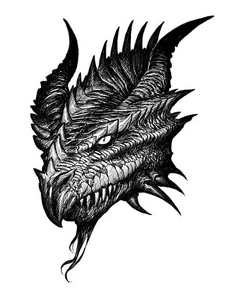 The head of a black dragon.