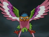 Spring Chicken