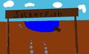 Suckerfish entrance