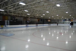 Bloomingtonicegarden