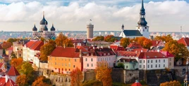 Tallinnestonia