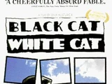 Black Cat, White Cat