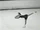 Carol Heiss