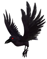 Raven FF