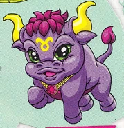 Toro