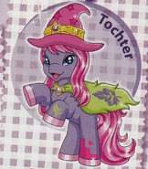 'Filly Sammelband': an overview of witchys