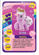 Rose filly.cz card.jpg (44 KB)