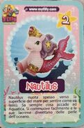 Front card with nautilus (Italian)
