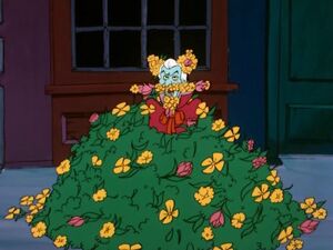 Flower Grumpette