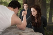 TwilightBD2 040.jpg (103 KB)