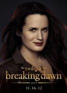 TwilightBD2 010.jpg (97 KB)