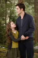 TwilightBD2 031.jpg (101 KB)