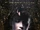 Candyman: Farewell to the Flesh
