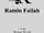 Ramin Fallah