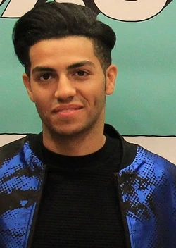MenaMassoud