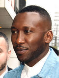 Photo of Mahershala Ali at the Toronto Film Festival in 2013.