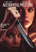 Accidental Meeting (DVD)