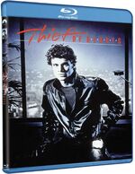 Thief of Hearts (Blu-ray)