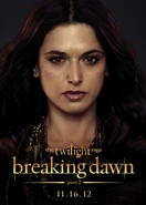 TwilightBD2 019.jpg (114 KB)