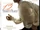 12 Years a Slave/Home media