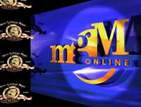 Second MGM online bumper