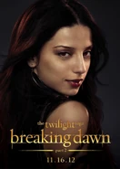 TwilightBD2 024.jpg (100 KB)