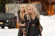 TwilightBD2 061.jpg (110 KB)