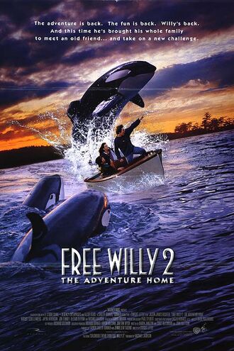 Free willy2 necklace | Free willy, Necklace, Free