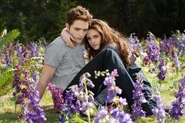 TwilightBD2 052.jpg (214 KB)
