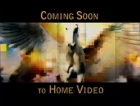 Vlcsnap-2015-10-20-10h00m29s657