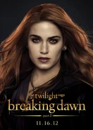 TwilightBD2 014.jpg (131 KB)