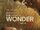 The Wonder