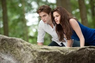 TwilightBD2 037.jpg (113 KB)