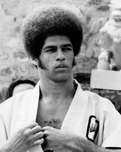 Jim Kelly | Moviepedia | Fandom