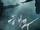 Sea Fog
