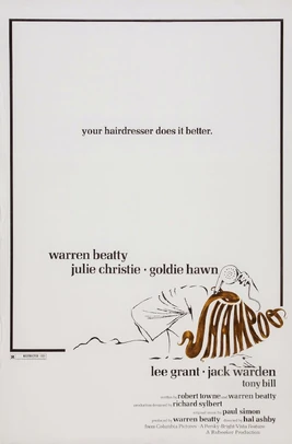 Shampoo poster