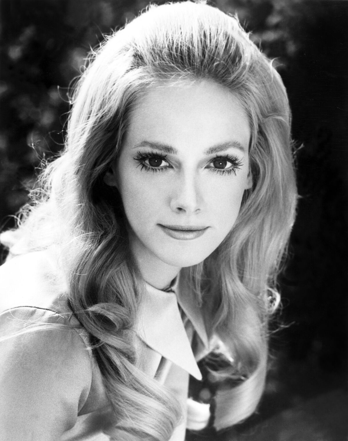 Sondra Locke | Moviepedia | Fandom