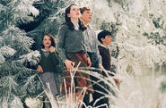 In Narnia