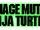 Teenage Mutant Ninja Turtles (film series)