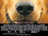 A Dog's Purpose